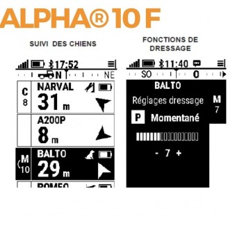 Centrale Garmin Alpha 10F Repérage & Dressage|JMartemis