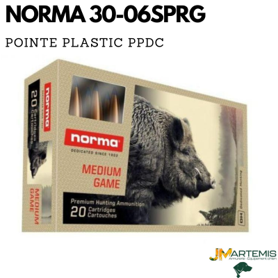 BALLE NORMA 30.06 SPRG POITE PLASTIC JAUNE PPDC
